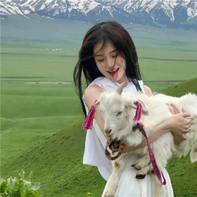 肥佬教授2