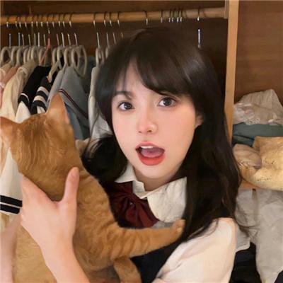 哈尔斯顿