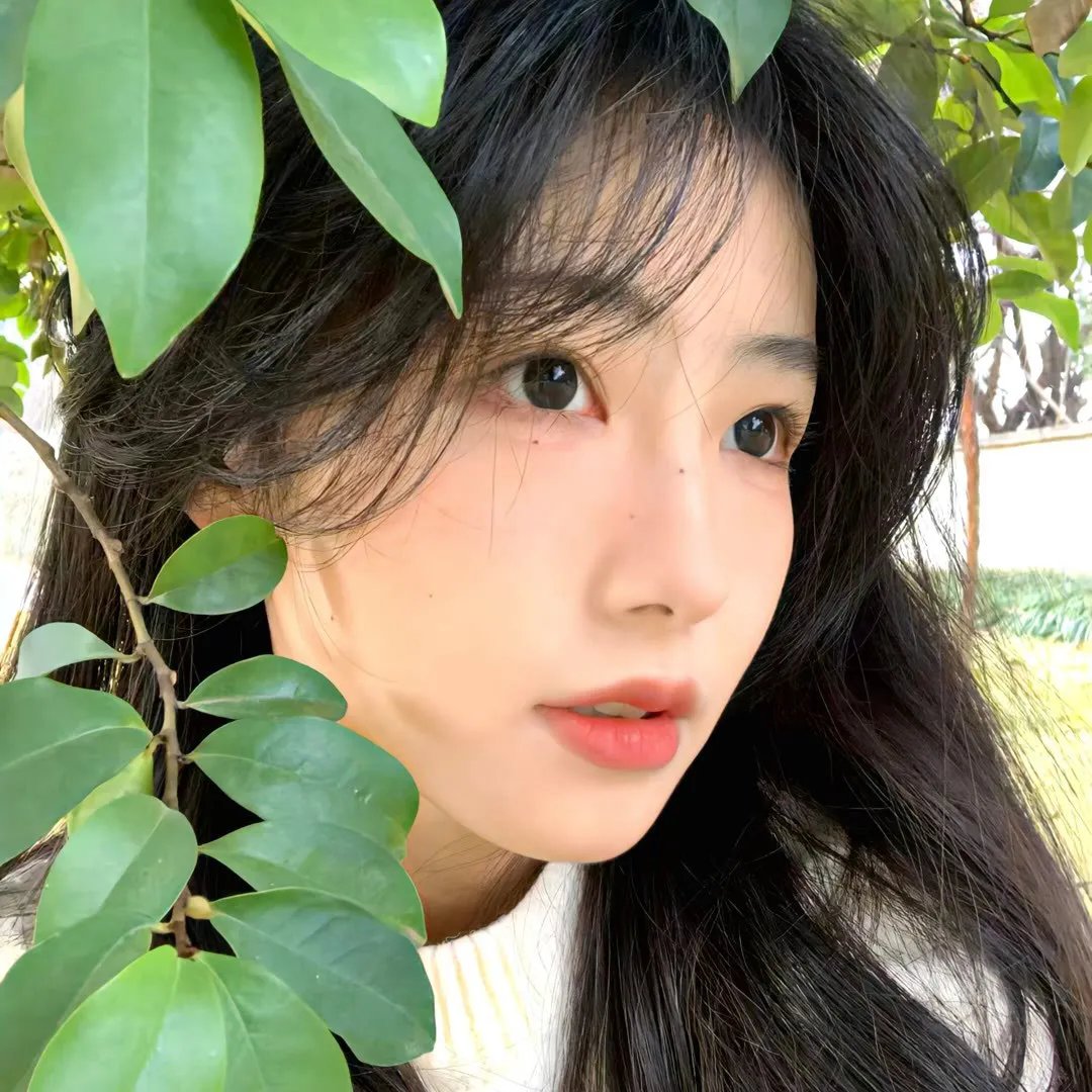 病态领土